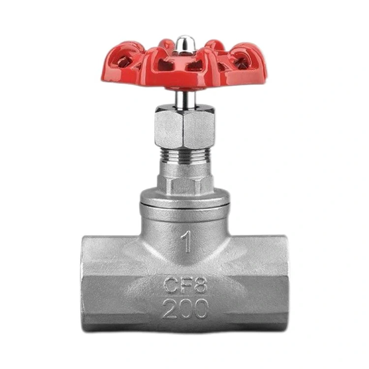 Zauren Globe Valve