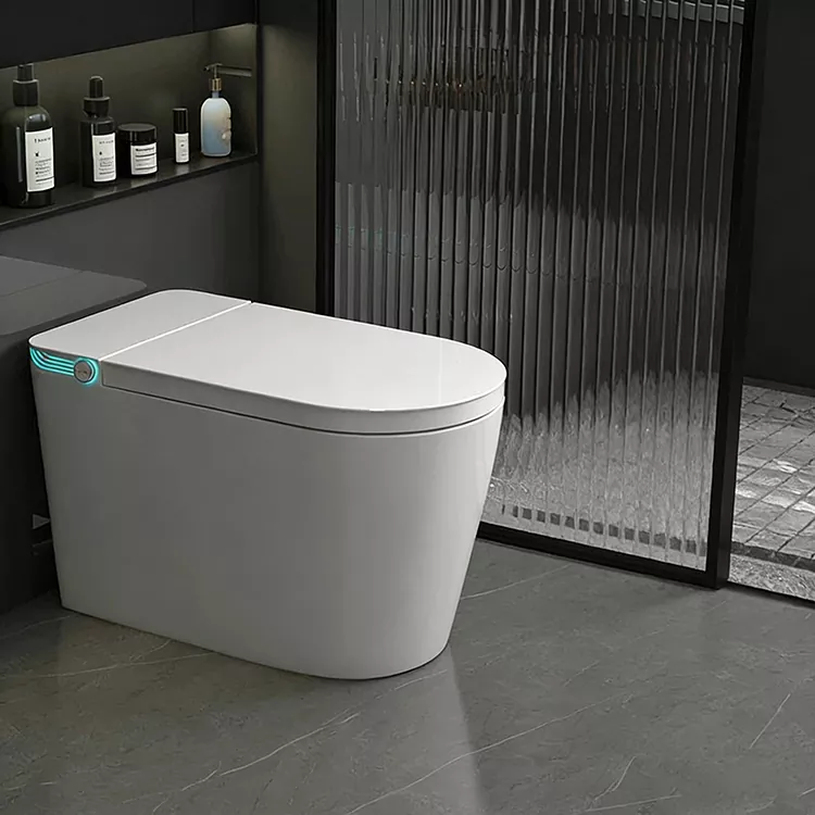 Mara waya ta Nesa Mai Sarrafa Feshi Nozzle Scarilization Smart Toilet